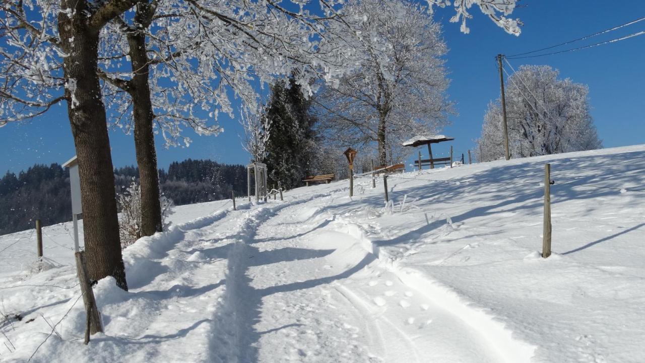 Ferienwohnung Alpenstern Rieden Bagian luar foto